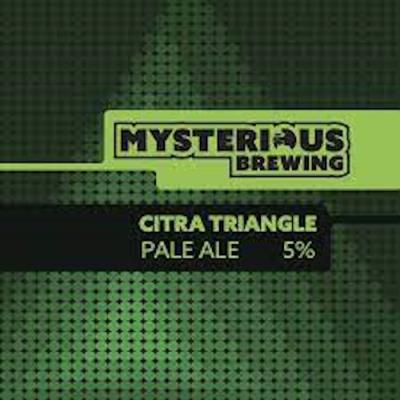 3798 Citra Triangle  craft beer 01 thumb 1a.jpg